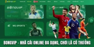 Bongvip - Nhà Cái Online Đa Dạng, Cam Kết Chơi Là Có Thưởng 10 bongvip