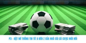 P3 - Bật Mí Thông Tin Từ A Đến Z Của Nhà Cái Cá Cược Mới Nổi 1 p3
